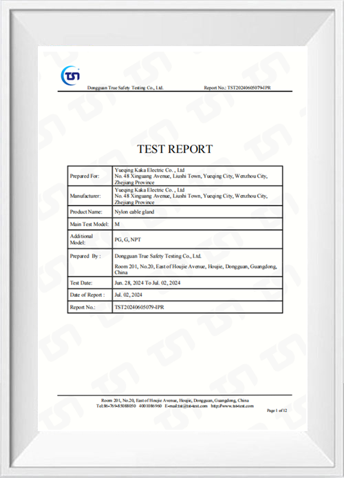 Nylon Cable Connector Certificate